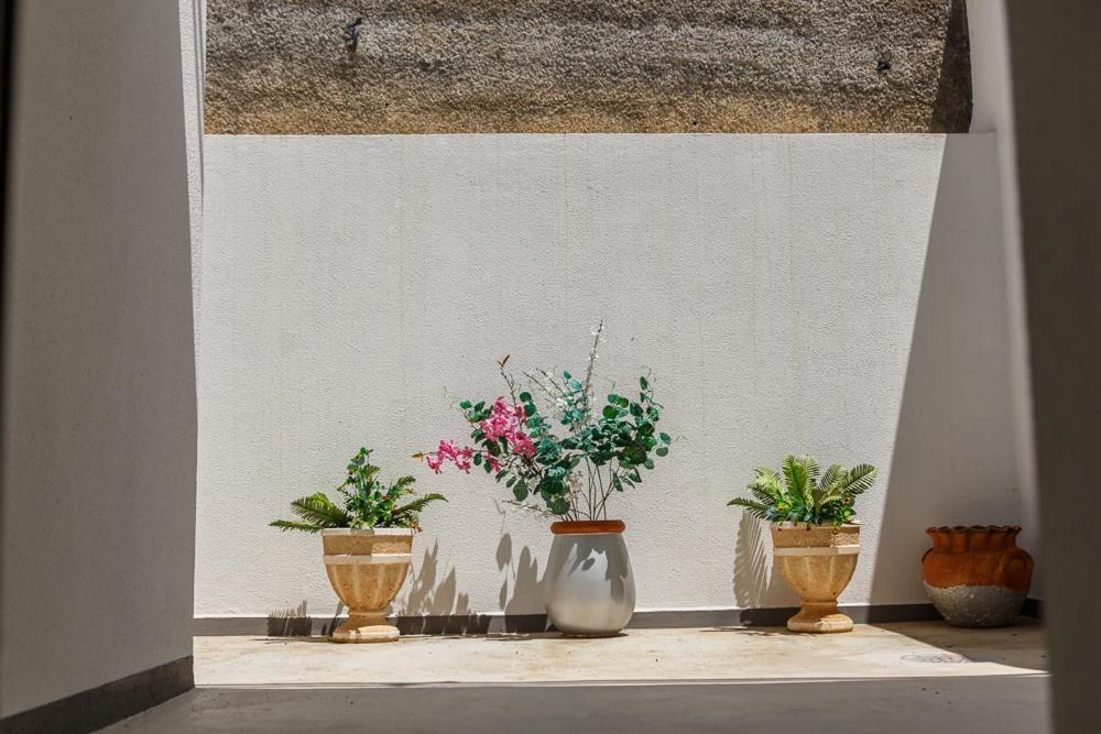 Apartmán Residencia Ana Piso Zero 0 Santa Cruz  Exteriér fotografie
